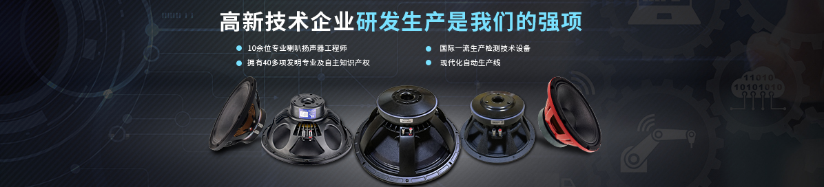 公司实力