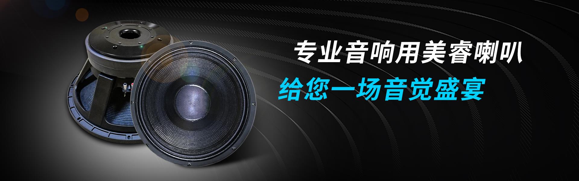 专业喇叭单元定制